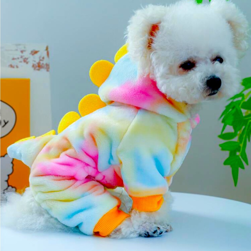 Puppy dinosaur fit & shoes